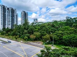 Dairy Farm Residences (D23), Apartment #543794191